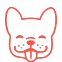 Köpek