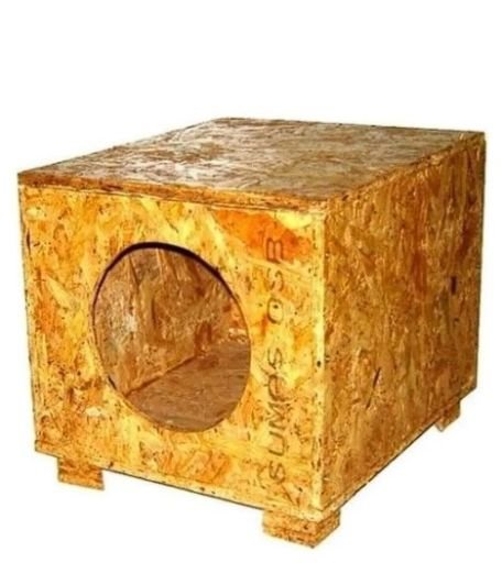 Kedi Evi