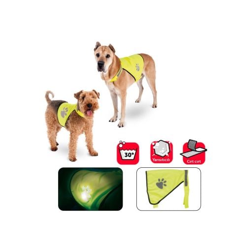 Köpek Aksesuarı