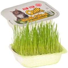 Quik Kedi Çimi Fileli