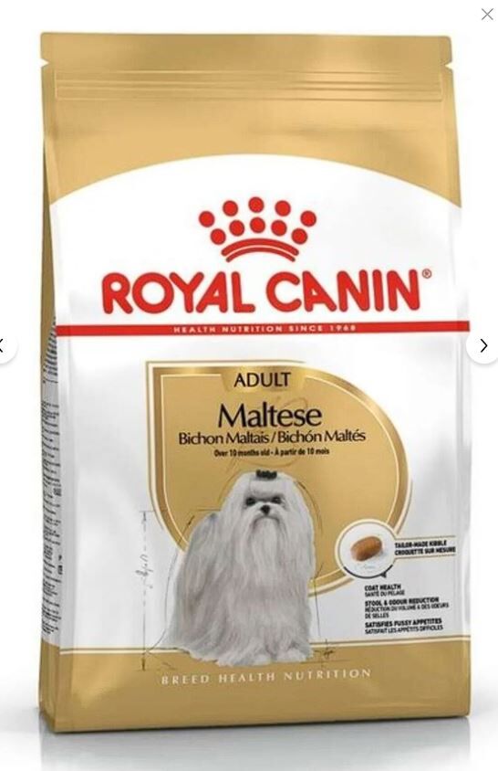 Maltese Bichon Maltais Köpek Maması 1.5 kg