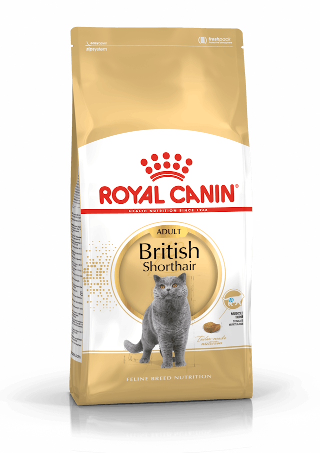 Royal Canin British Shorthair Yetişkin Kedi Maması 2 Kg