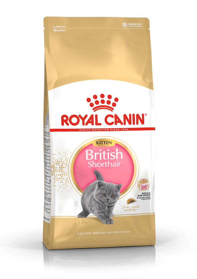 Royal Canin Kitten British Shorthair Yavru Kedi Maması 2 Kg