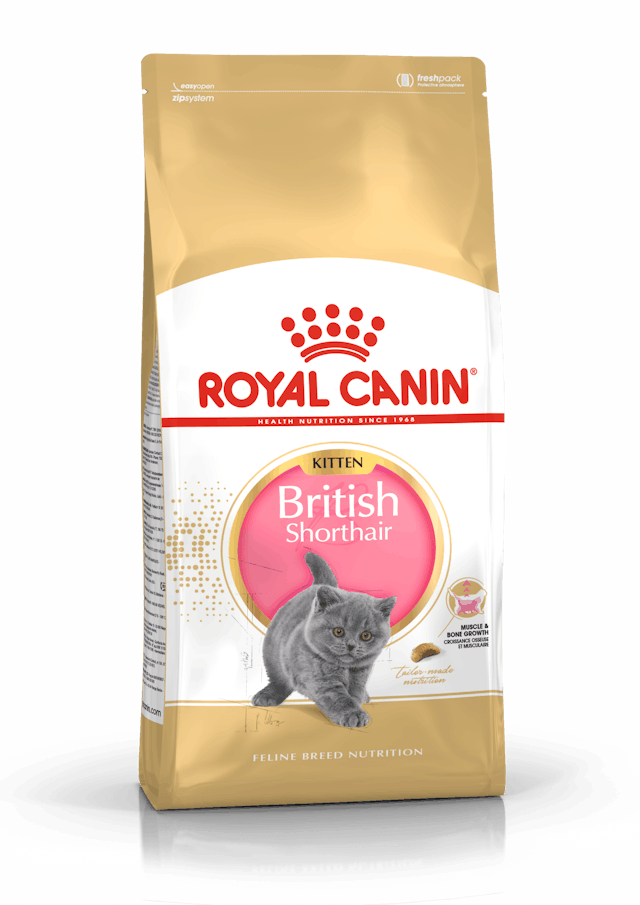 Royal Canin Kitten British Shorthair Yavru Kedi Maması 2 Kg