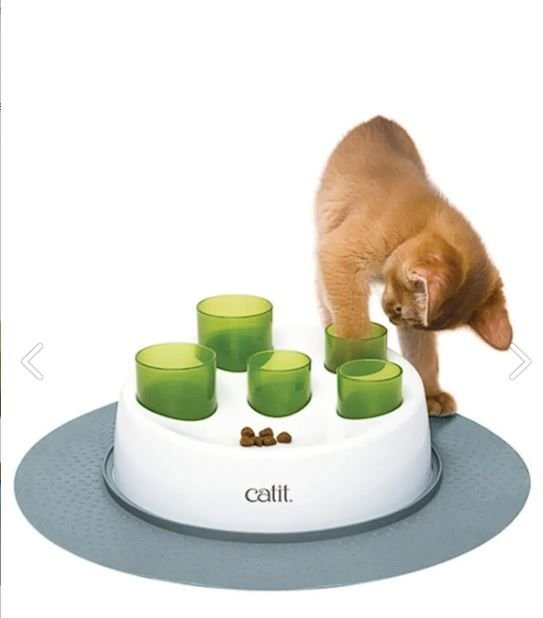 Catit Kedi Mama Oyun Merkezi