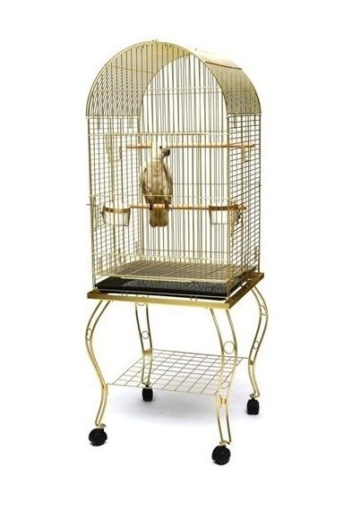 BirdMozz Sehpalı Papağan Kafesi Gold 51x51x152 cm
