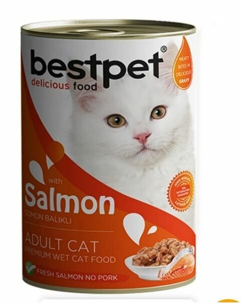 Bestpet Somonlu Konserve Yetişkin Kedi Maması 400 Gr