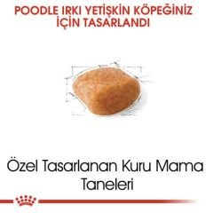 Royal Canin Poodle Adult Köpek Maması 3 kg