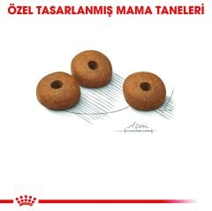 Royal Canin Light Weight Kedi Maması 1.5 Kg