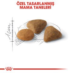 Royal Canin Savour Exigent Kedi Kuru Maması 2 Kg