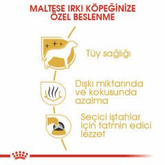 Royal Canin Maltese Bichon Maltais Yetişkin Köpek Maması 1,5 kg