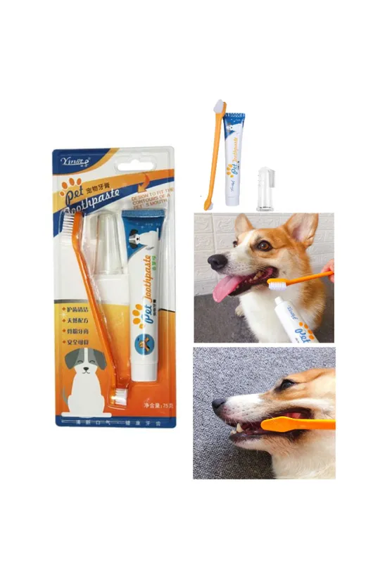 DogMozz Kedi Köpek Diş Fırçası ve Diş Macunu Seti Yenilebilir Diş Macunu