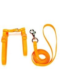 Doggie Dokuma Kedi Gezdirme Göğüs Tasma Takımı Turuncu KT-10