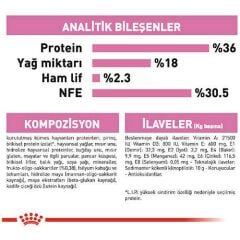 Royal Canin Kitten Yavru Kedi Maması 10 kg