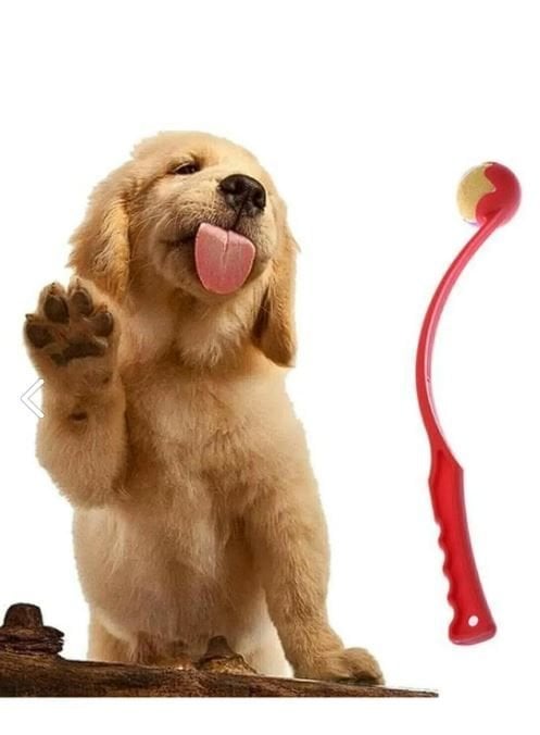 DogMozz Köpekler İçin Çek Bırak Top Fırlatıcısı Oyuncak