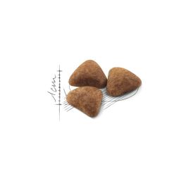 Royal Canin ® Indoor 27 Yetişkin Kedi Maması 2 Kg