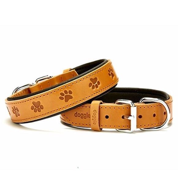 Doggie Comfort Deri Pati Desenli Köpek Boyun Tasması Medium Camel 2.5x37-45 Cm