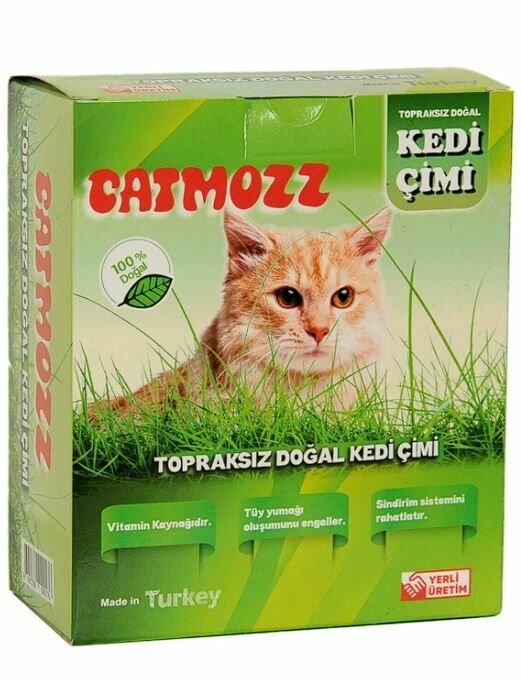 CatMozz Yavru Ve Yetişkin Kediler İçin Büyük Boy Organik Topraksız Kedi Çimi Seti 1 Adet
