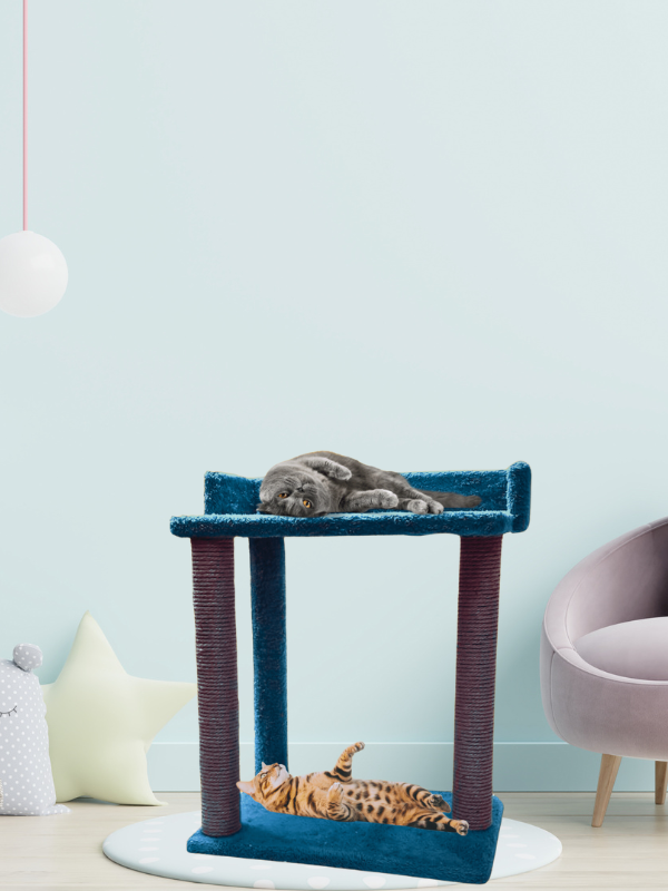 CatMozz Roma Kedi Tırmalama Oyuncağı ve Evi