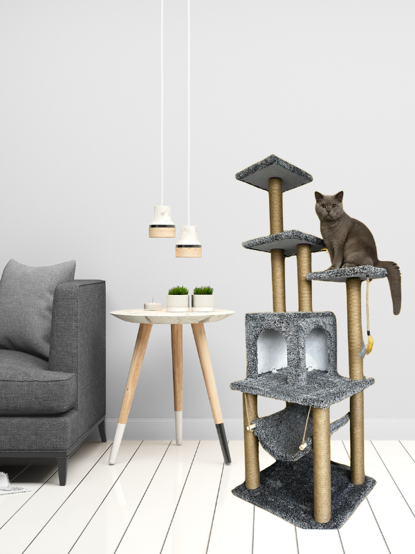 CatMozz Meksika Yuvalı Kedi Tırmalama Oyuncağı ve Evi