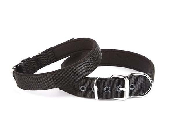 Doggie Comfort Yumuşak Dokulu Köpek Siyah Boyun Tasması 3x47-55cm