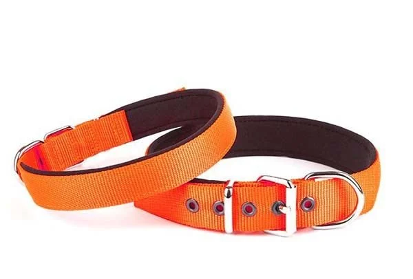 Doggie Comfort Yumuşak Dokulu Köpek Turuncu Boyun Tasması 2,5*42-50 cm