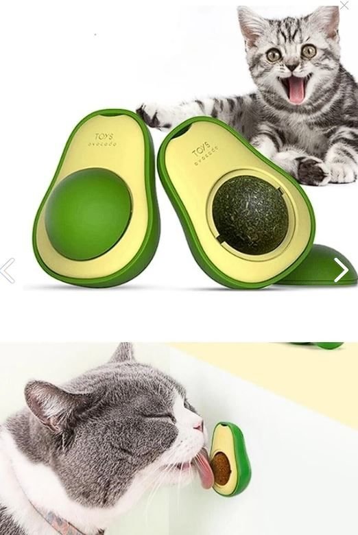 CatMozz Avokado Catnip Avokado Kedi Çimi Topu Avokado Kedi Nanesi Oyuncağı