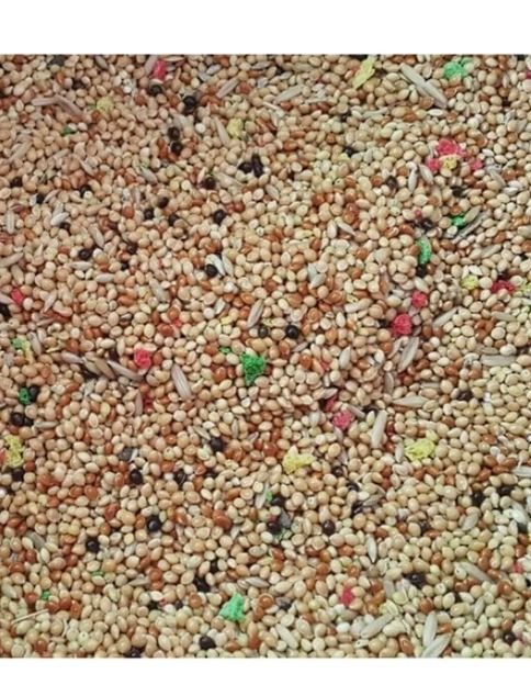 BirdMozz Muhabbet Kuşu Yemi 1 Kg