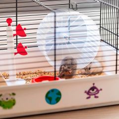 Criceti 9 Hamster Kafesi / Uzay Temalı