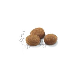 Royal Canin Sterilised 7+ Kısırlaştırılmış Kedi Maması 3,5kg