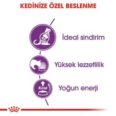 Royal Canin Sensible 33 Hassas Sindirim Sistemli Kediler için Yetişkin Kedi Maması 15 kg