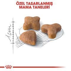 Royal Canin Sensible 33 Hassas Sindirim Sistemli Kediler için Yetişkin Kedi Maması 15 kg