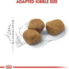 Royal Canin Indoor 7+ Ev Kedileri İçin Yaşlı Kedi Maması 1,5kg