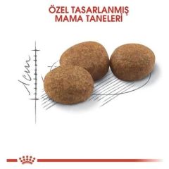 Royal Canin Sterilised 37 Kısırlaştırılmış Kedi Maması 15 Kg