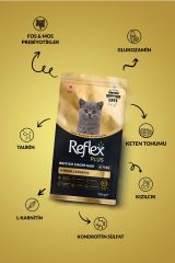 Reflex Plus British Shorthair Yavru Kedi Maması 1.5 Kg