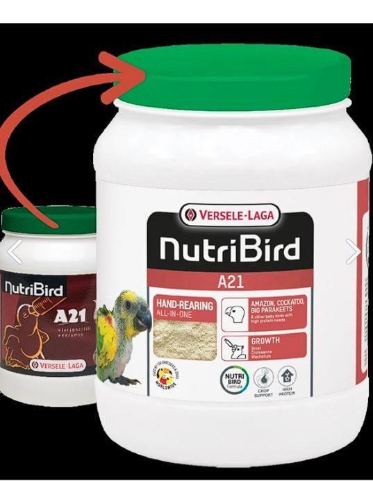 Versele Laga Nutrıbırd A21 Elle Yetiştirme Maması 800g