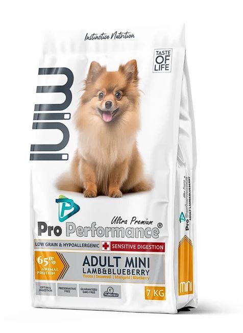 Pro Performance Ultra Premium Somonlu ve Yaban Mersinli Uzun Tüylü Küçük Irk Yetişkin Köpek Maması 7 Kg
