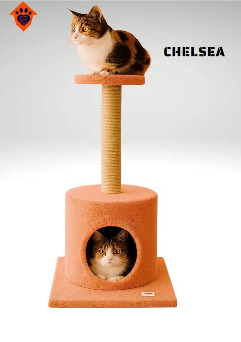 CatMozz Chelsea Tırmalama Yuvalı Kedi Evi Tuuncu