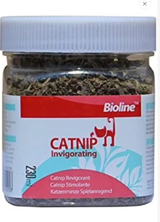 Bioline Catnip Kedi Otu 230 Ml