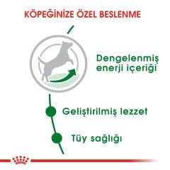 Royal Canin Mini Adult Yetişkin Köpek Maması 2 Kg